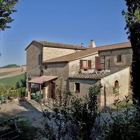 Agriturismo Podere Olivello In Val D'Orcia Montalcino Bagian luar foto