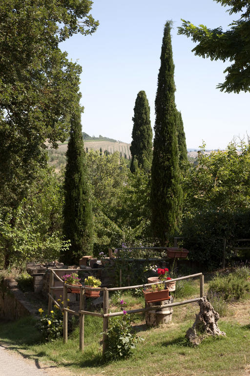 Agriturismo Podere Olivello In Val D'Orcia Montalcino Bagian luar foto